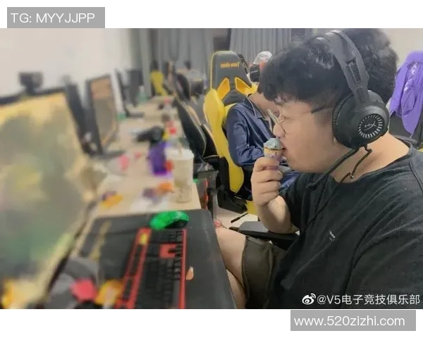 V5战队在比赛中的数据分析与经验总结探讨