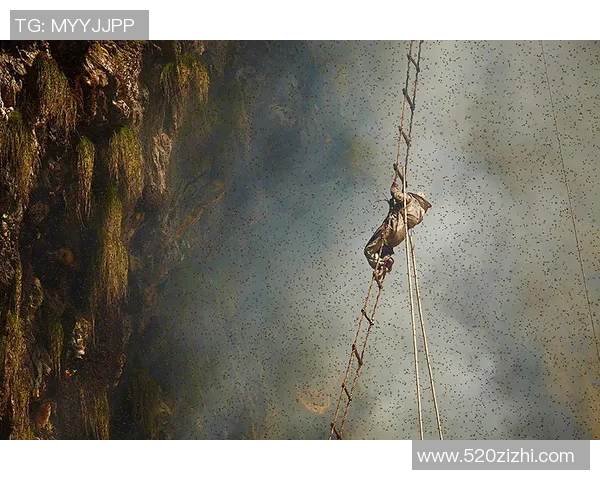 南京攀岩队的团队协作探索与实践：攀岩运动中的默契与信任