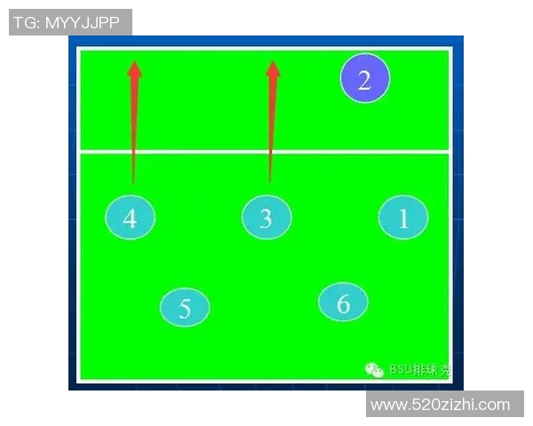 重庆排球队进攻战术全解析深度剖析其战术特点与执行效果