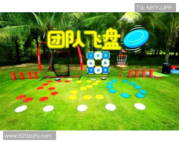 飞盘新风潮上海飞盘队的蜕变与挑战之旅 飞盘新风潮上海飞盘队的蜕变与挑战之旅